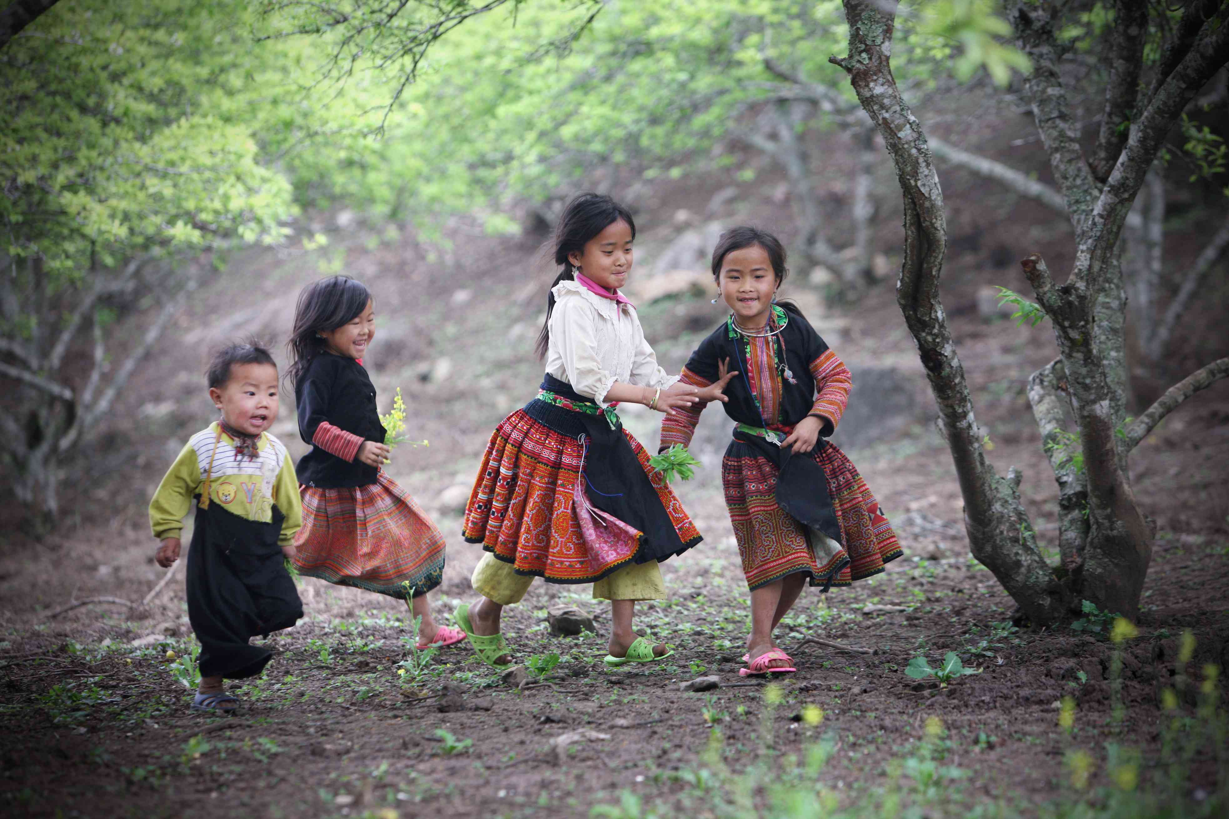 oaojgrzoag8gkyvscqdecal5xc5gbxngh2rw5r3d