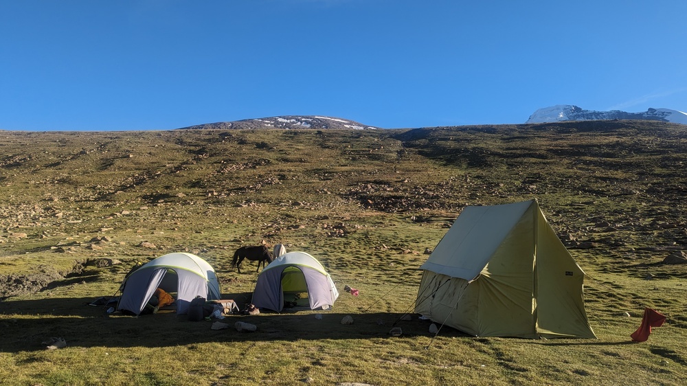 markha-valley-trek-ladakh