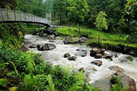 pexels-julia-volk-6576294