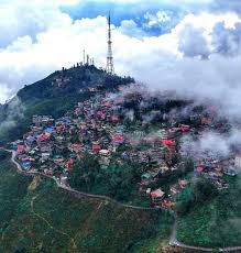 pexels-julia-volk-6576294