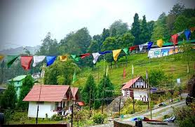 pexels-julia-volk-6576294