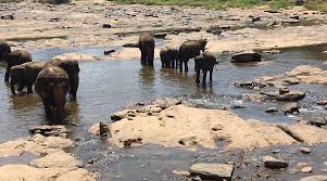 vbl7rdxapdqddxl8qjbcgucasksxkycyp7sqexx2