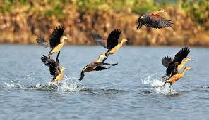 tqum8puzho7ivnkm5gpzpojmmxkppvi2lfrqyoek