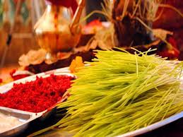 s1g4o0jyzzsvfozvnsxg7gnquqqn8anc117zpmlu