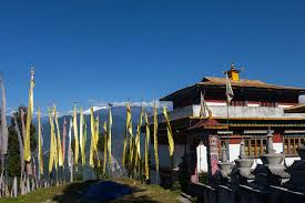 pexels-julia-volk-6576294