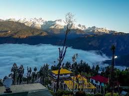 pexels-julia-volk-6576294