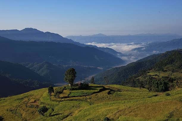 pq4n5lxwmflmdqasizu9ewdltw57vdsjtyldknru